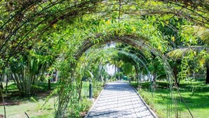 A paved pathway lined with lush greenery and a canopy of trees overhead. - Isola di Cocco Ayurvedic Beach Resort (Neyyattinkara)