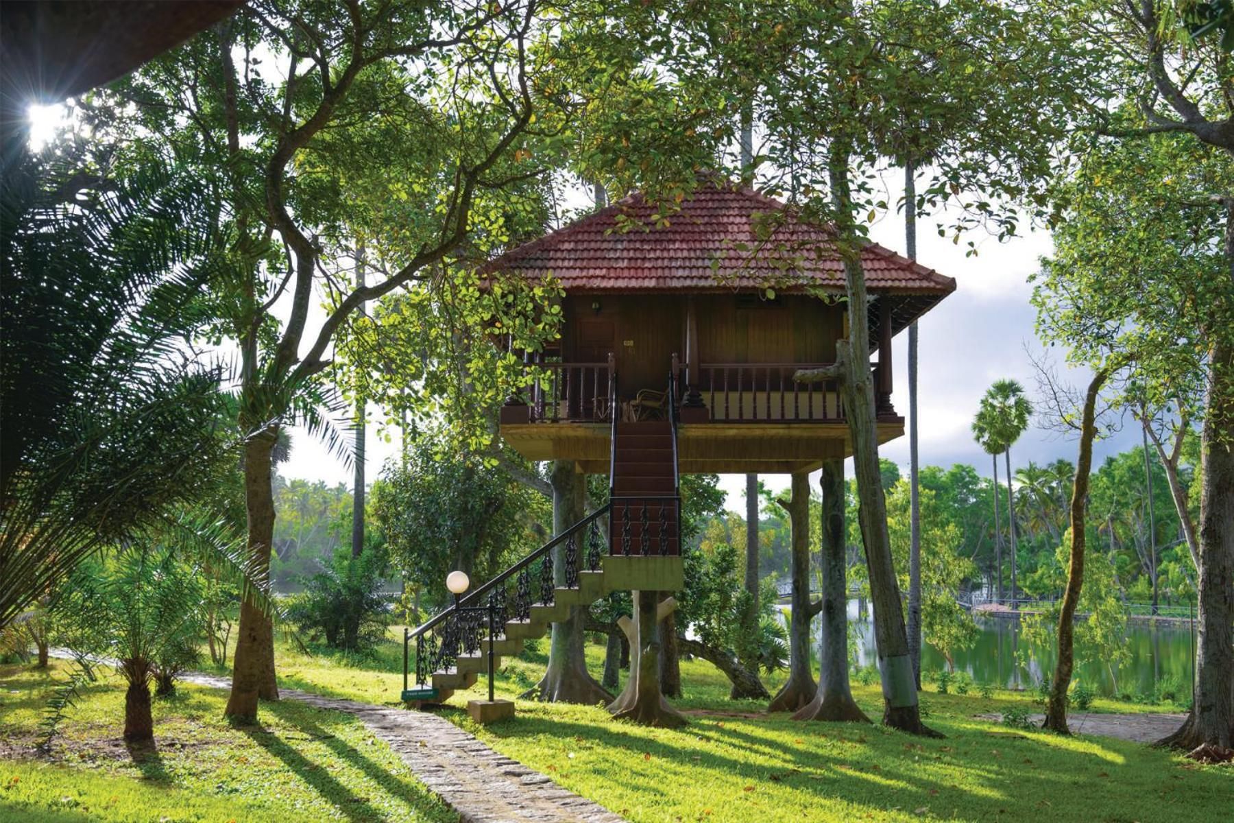 A treehouse with a staircase leading up to it, surrounded by lush greenery and trees.