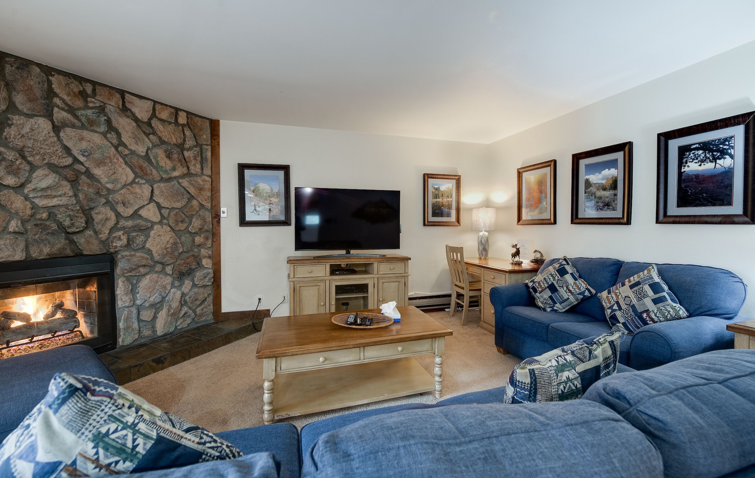 TV, fireplace, DVD player