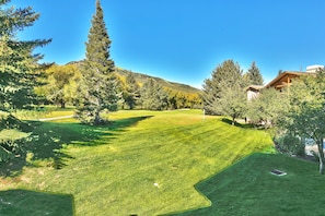 Terrain de l’hébergement