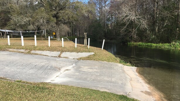 A concrete pathway leading to a body of water, surrounded by grass and trees. - Rainbow River Experience. (Dunnellon)