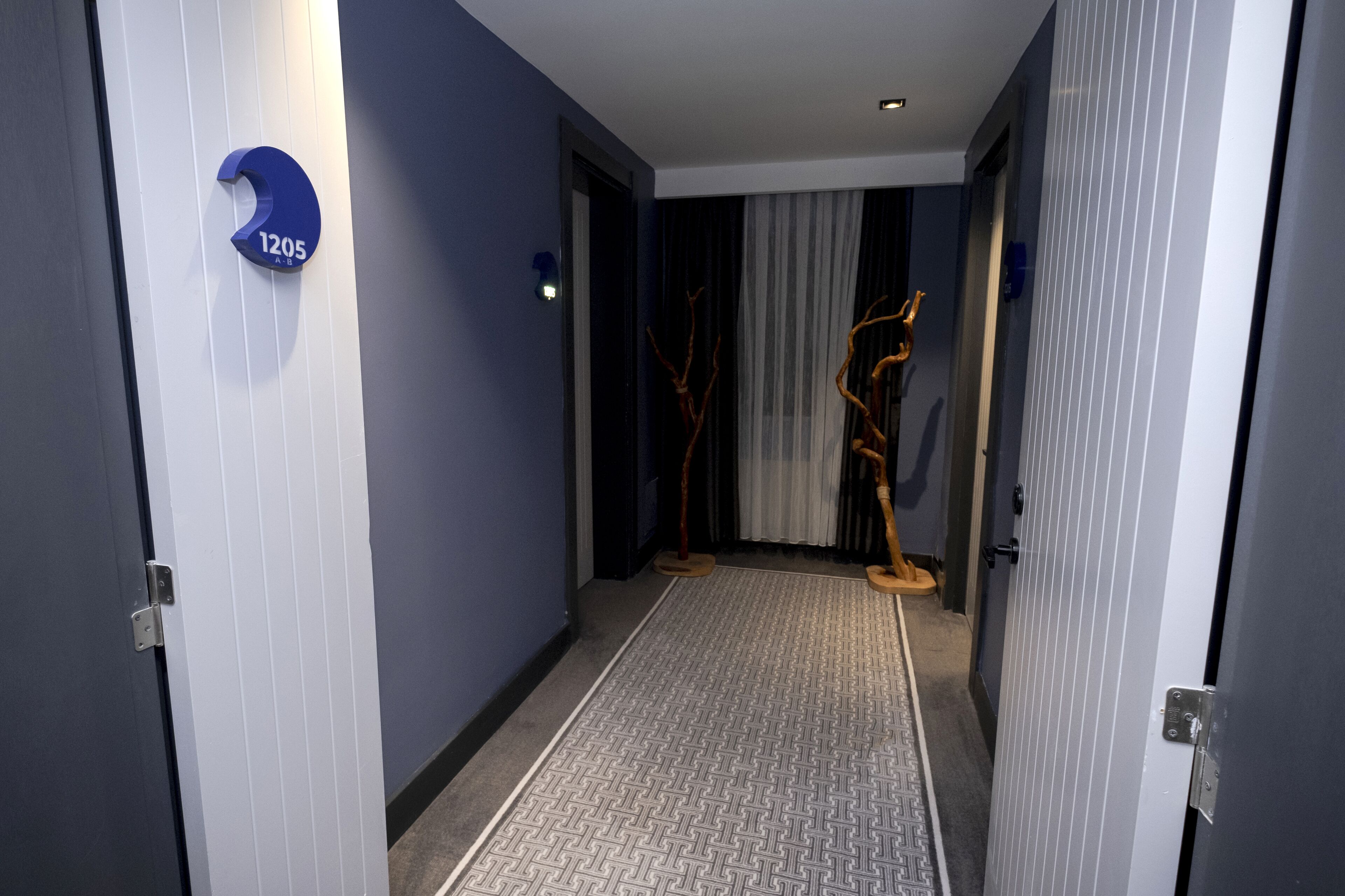A hallway with a blue wall, a number sign '1205', and a patterned carpet.