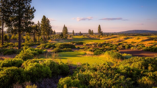 A golf course with a variety of trees and shrubs, a clear sky, and distant hills.