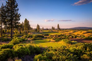 Un campo de golf con diversos árboles y arbustos, cielo despejado y colinas distantes.