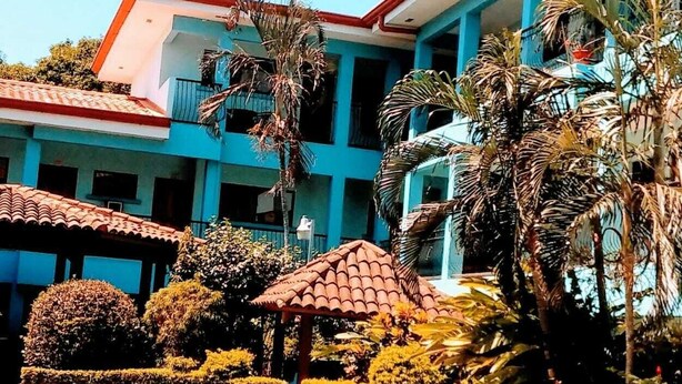 A swimming pool with a tiered edge, surrounded by well-maintained bushes and palm trees.