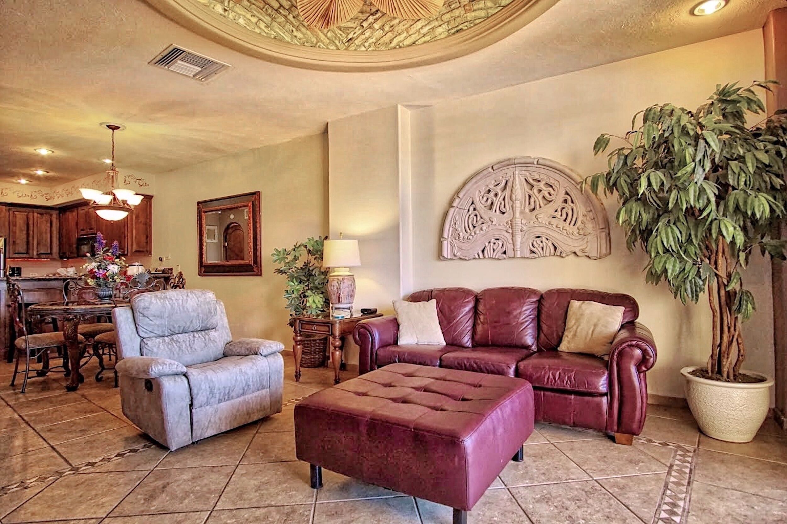 电视、DVD 播放器