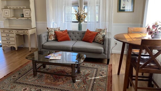 A living room with a grey sofa, a glass coffee table, a patterned rug, a wooden dining table with chairs, and a window with sheer curtains. - Spacious room with private entrance near Bidwell Park! (Chico)