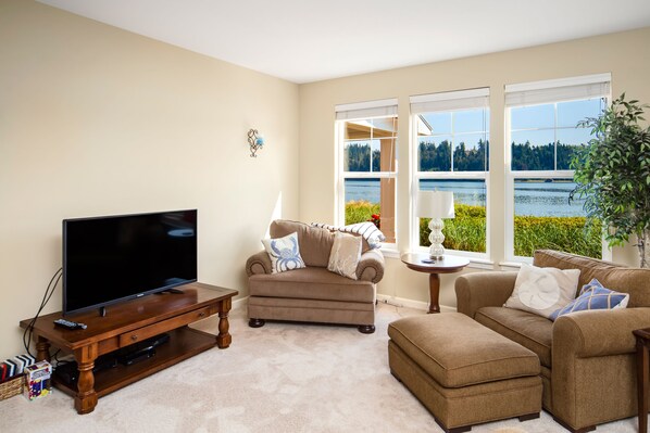 Televisio, takka, kirjoja