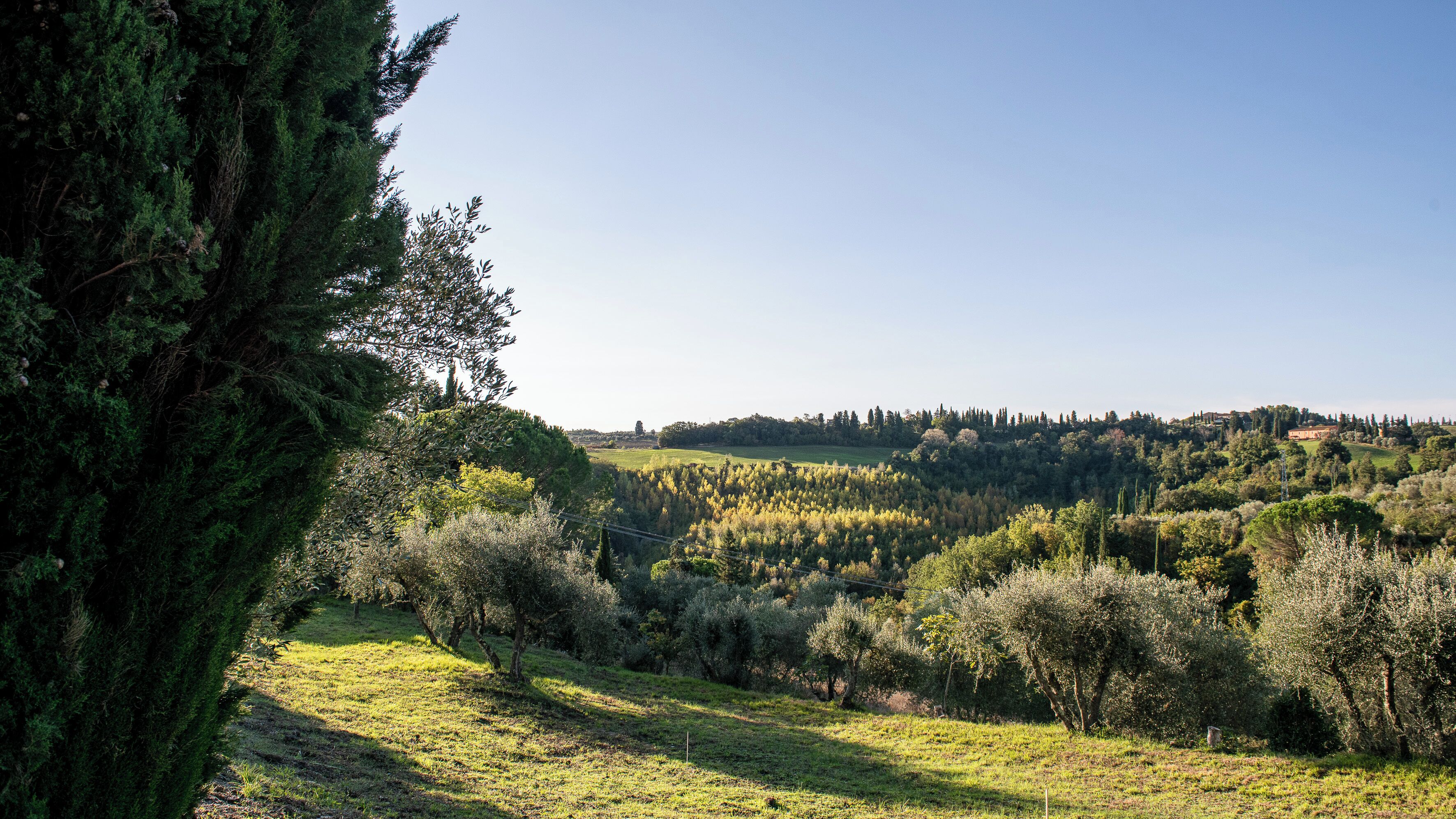 A rural landscape with a hill, trees, and a clear sky.