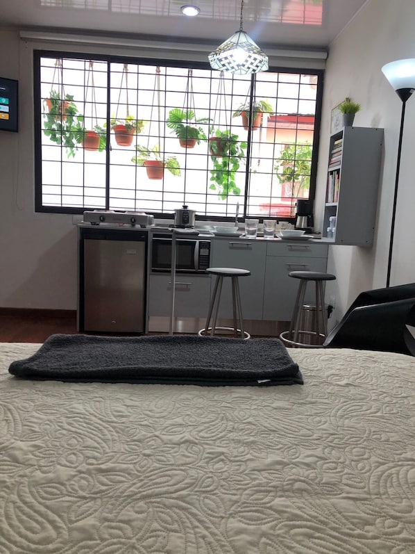 1 bedroom - Boutique in Heredia (Cerca de Todo - Close to everything) (Heredia)