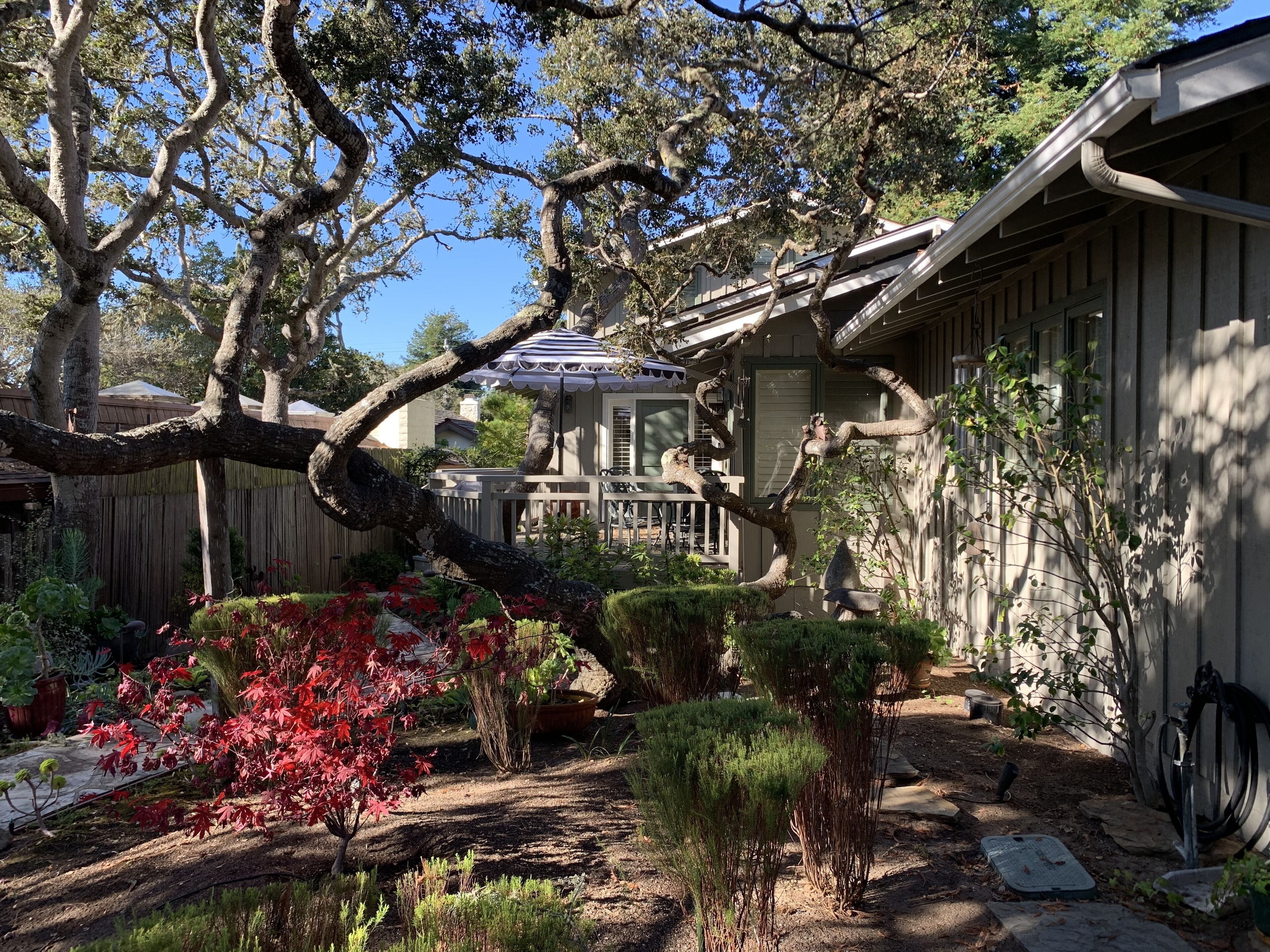 Charming Quiet Beach House. Walking distance to beach and town!