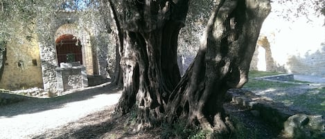 Terrain de lâhĂ©bergement