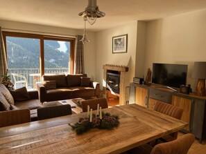 TV connectée, cheminée, lecteur de DVD, livres