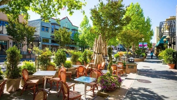 An outdoor cafe with wicker chairs and tables, surrounded by potted plants and trees. - Luxe Studio Getaway in Mountain View Near Google! (Mountain View)