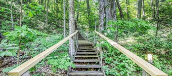 In the Shade, By the Beach -Welcome Home