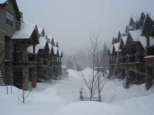 Luxury in Downtown Winter Park