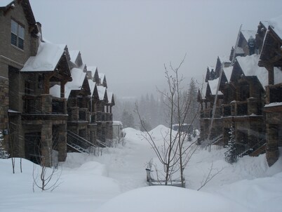 Luxury in Downtown Winter Park