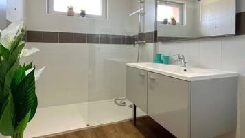 Shower, hair dryer, towels, soap