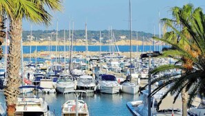 Un port de plaisance où de nombreux bateaux de différentes sortes étaient amarrés les uns à côté des autres.