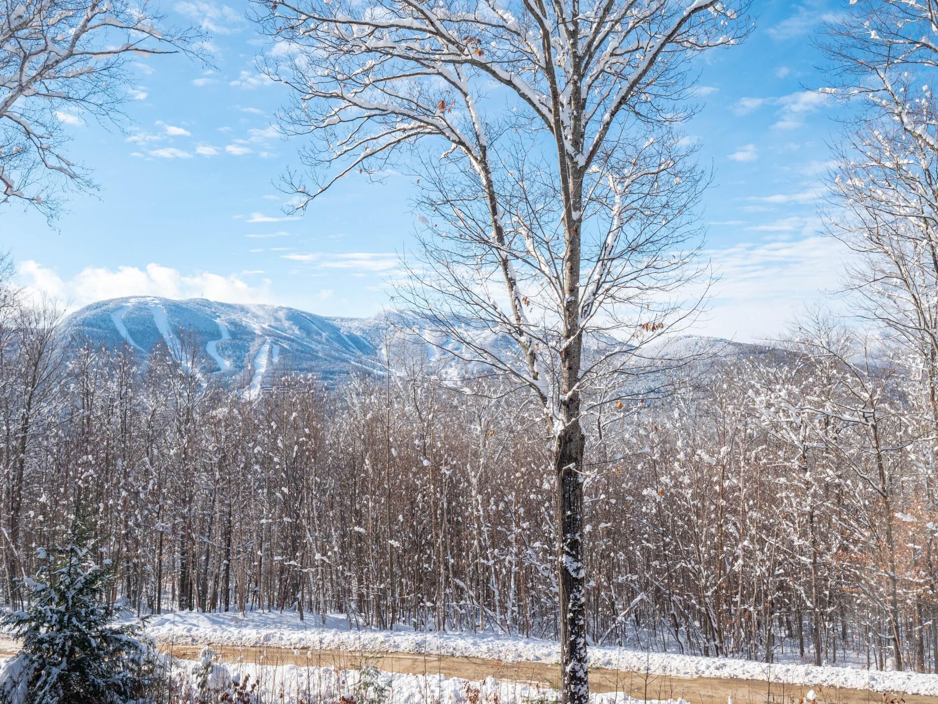 A snowy landscape with a clear sky, a road, and a mountain range in the background.