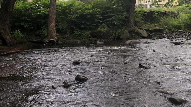 Een huis omgeven door bomen en een rivier.