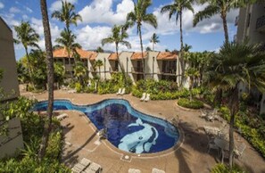 屋外プール、温水プール