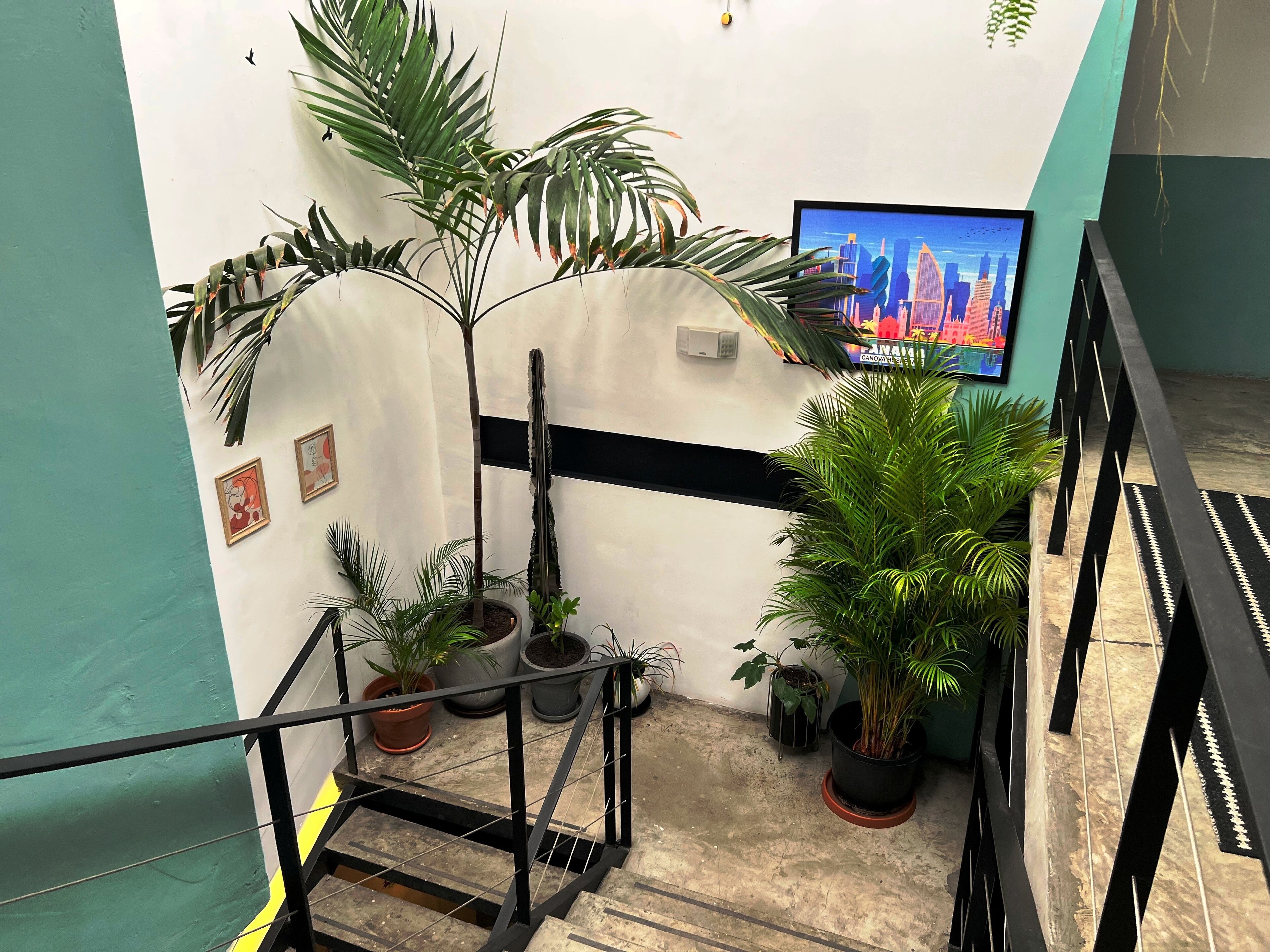 A staircase with potted plants, a wall-mounted TV, and a black railing.