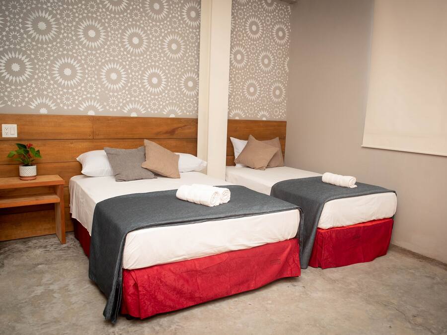 Une chambre avec deux lits, chacun recouvert d’une couvre-lit grise et rouge, dotés d’une tête de lit en bois et d’une table de chevet sur laquelle est posée une plante.