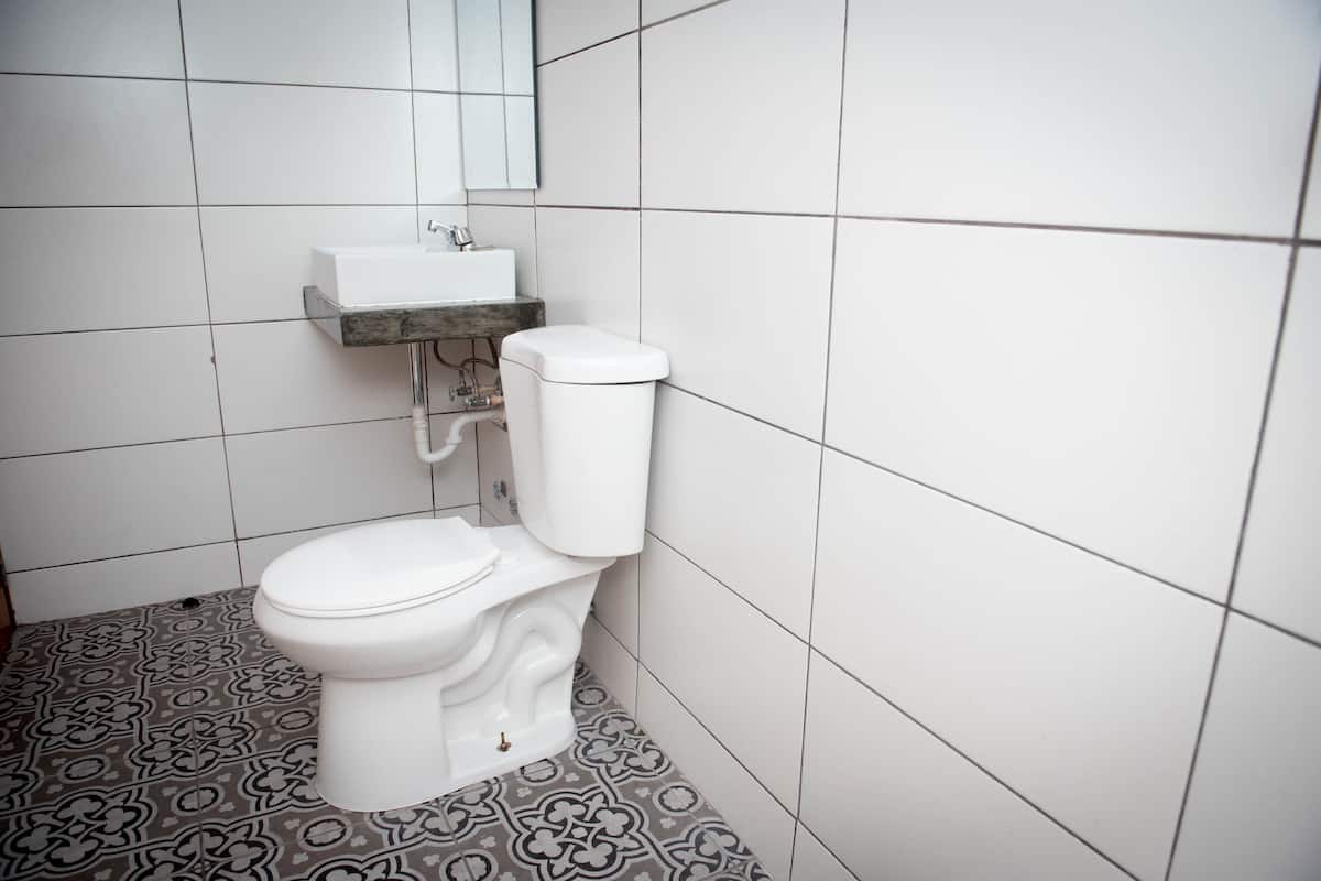 shower, towels, soap, toilet paper