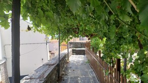 A stone pathway flanked by a stone wall and a wooden fence, leading to a building with a tiled roof.
