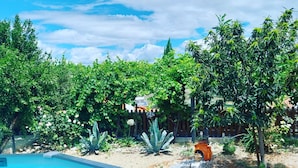 A swimming pool surrounded by lush greenery and a wooden fence.