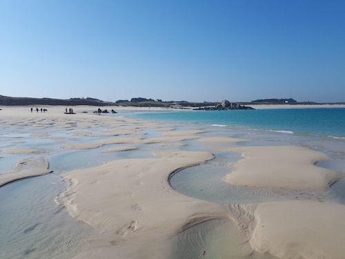 House on the dune, direct access to the beach (100m)  and sea view