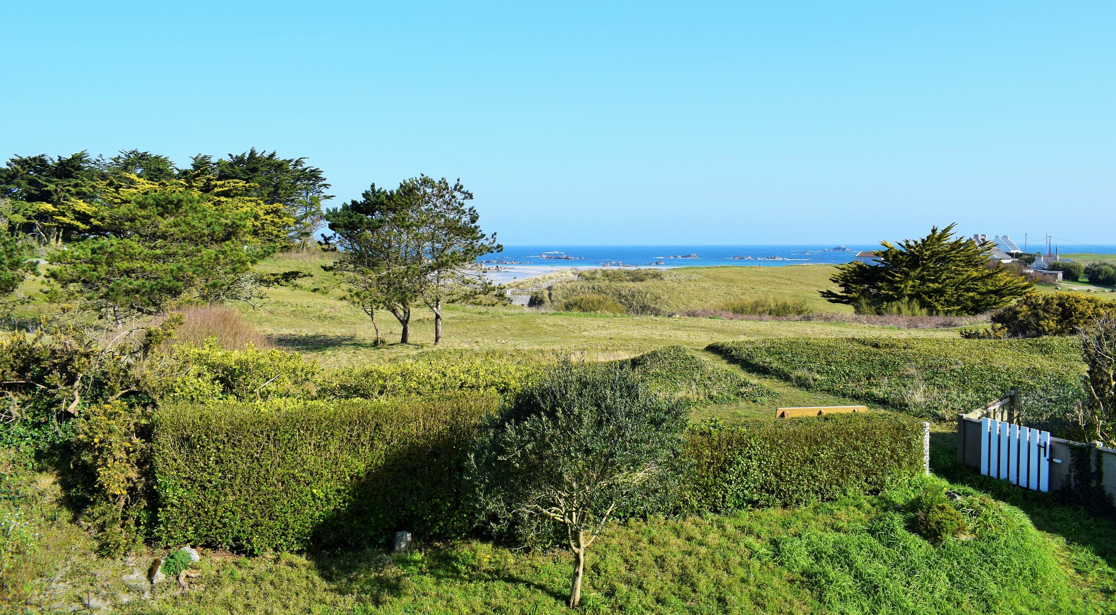 Eine Küstenlandschaft mit einer Wiese, Bäumen und einem fernen Blick aufs Meer.