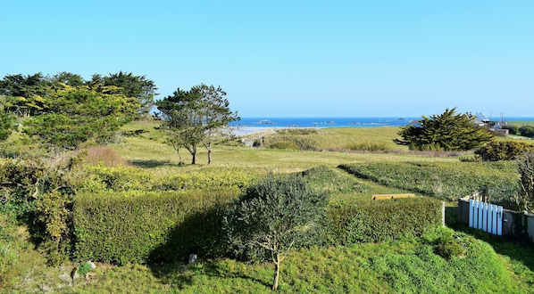 A coastal landscape with a grassy field, trees, and a distant view of the sea.