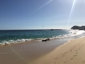 Playa en los alrededores 