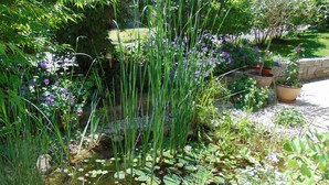 A garden with a pond, various plants, and a stone wall. - Ferienwohnung, 55 qm Obergeschoss, 1 Separates Schlafzimmer (Bad Endorf)