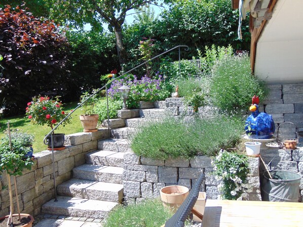 المنطقة المحيطة بالمنشأة