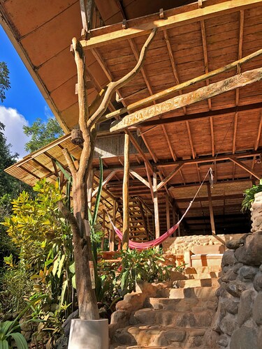 Jungle hostel in tree house style