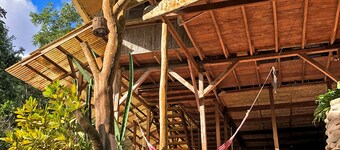 Jungle hostel in tree house style
