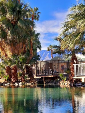 Tranquila zona de piscina con palmeras y una terraza de madera con vistas a una cordillera.