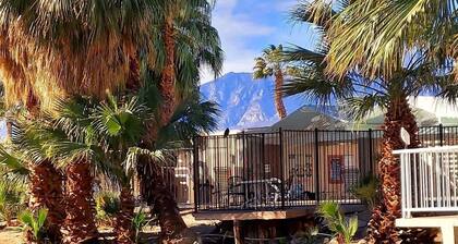 Tiny Home and Gem Of The Desert with Mineral Hot Springs