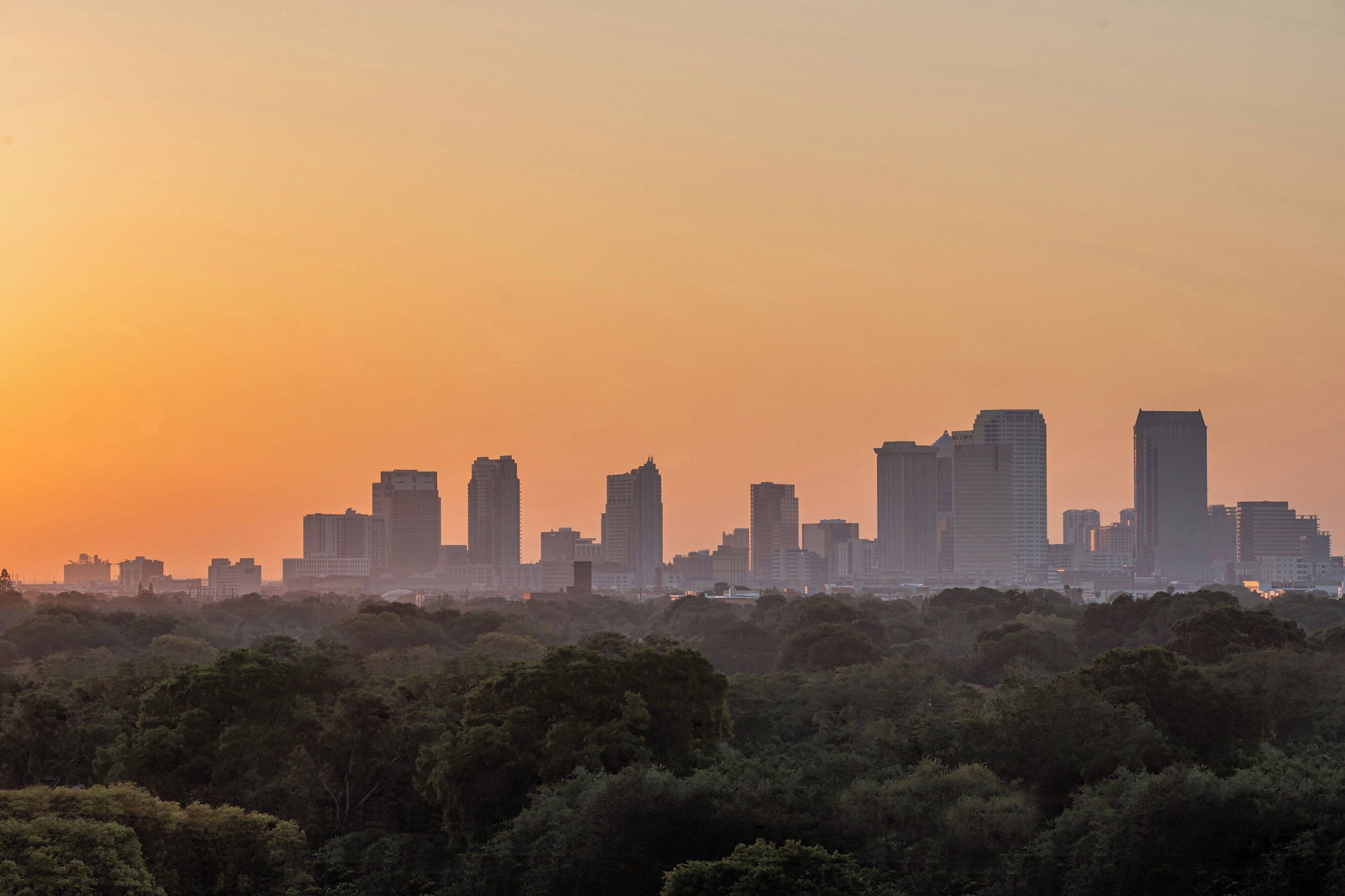 Foto - Aloft Tampa Midtown