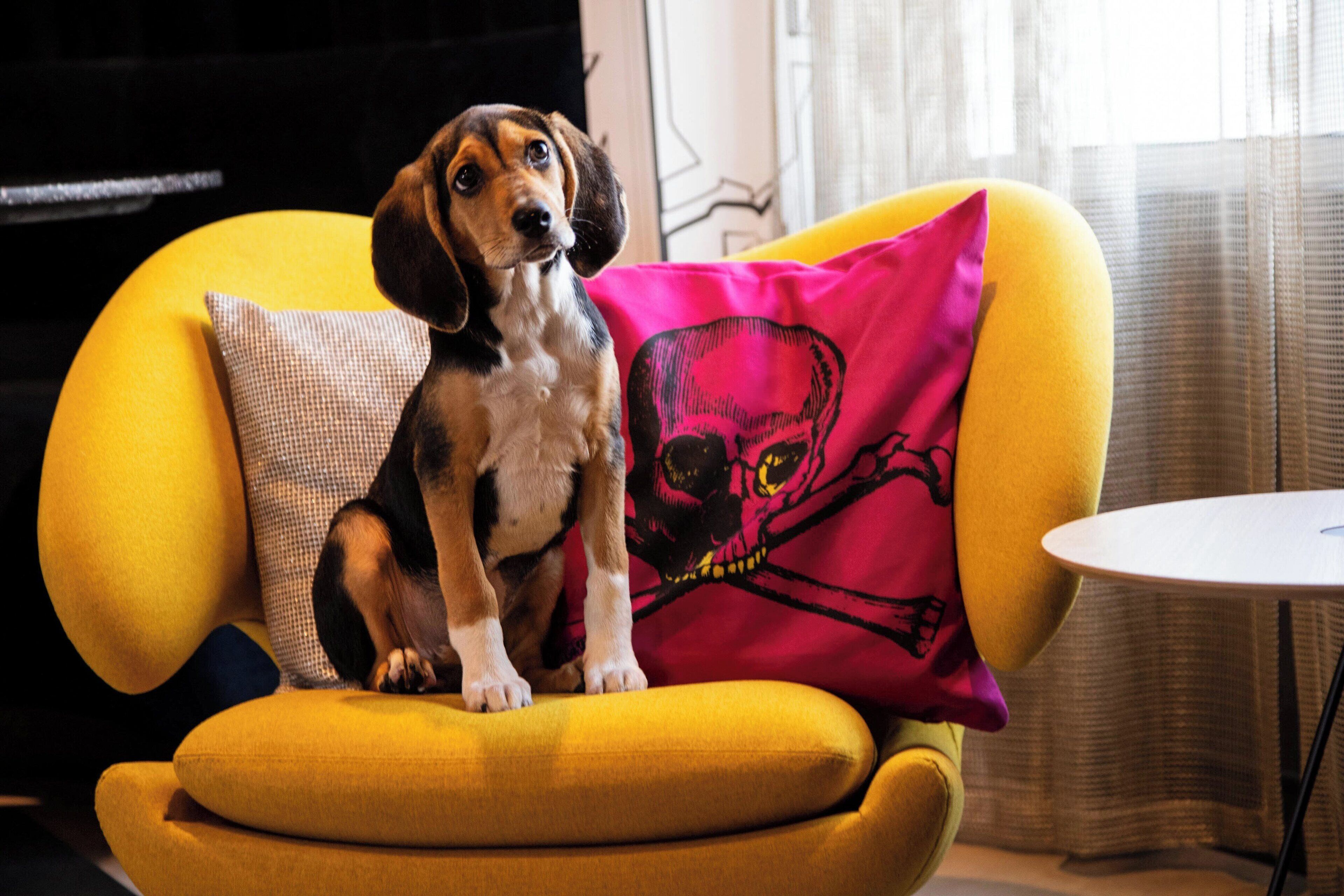 Foto - Aloft Tampa Midtown