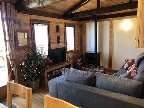 Smart TV, fireplace, DVD player, books
