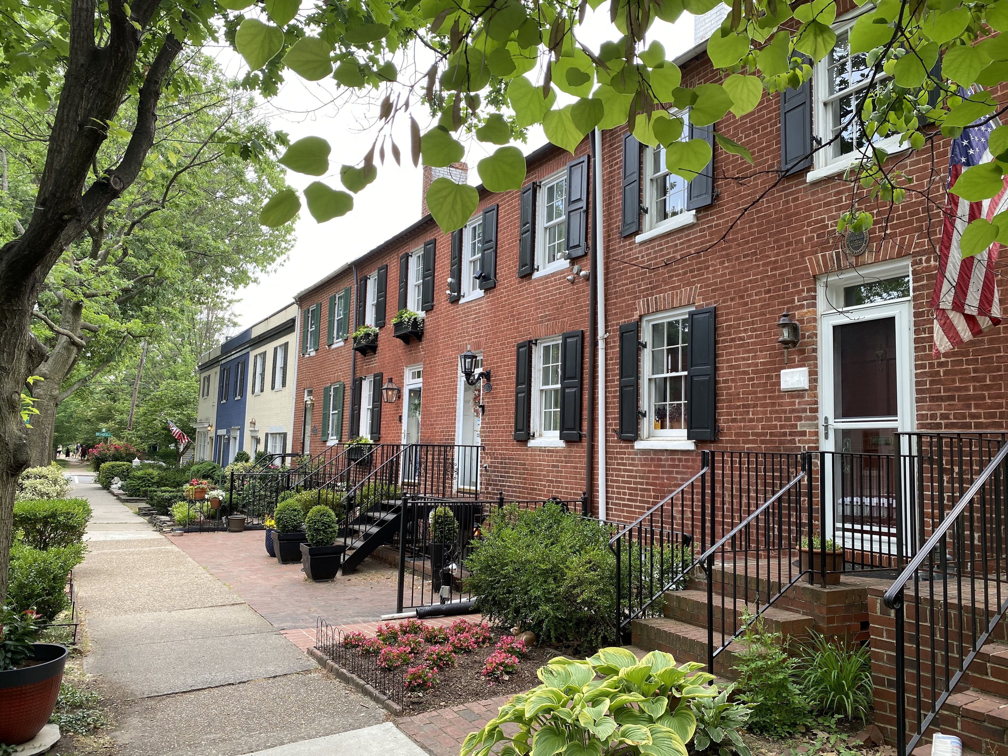 Historic Old Town Alexandria Cozy Apartment