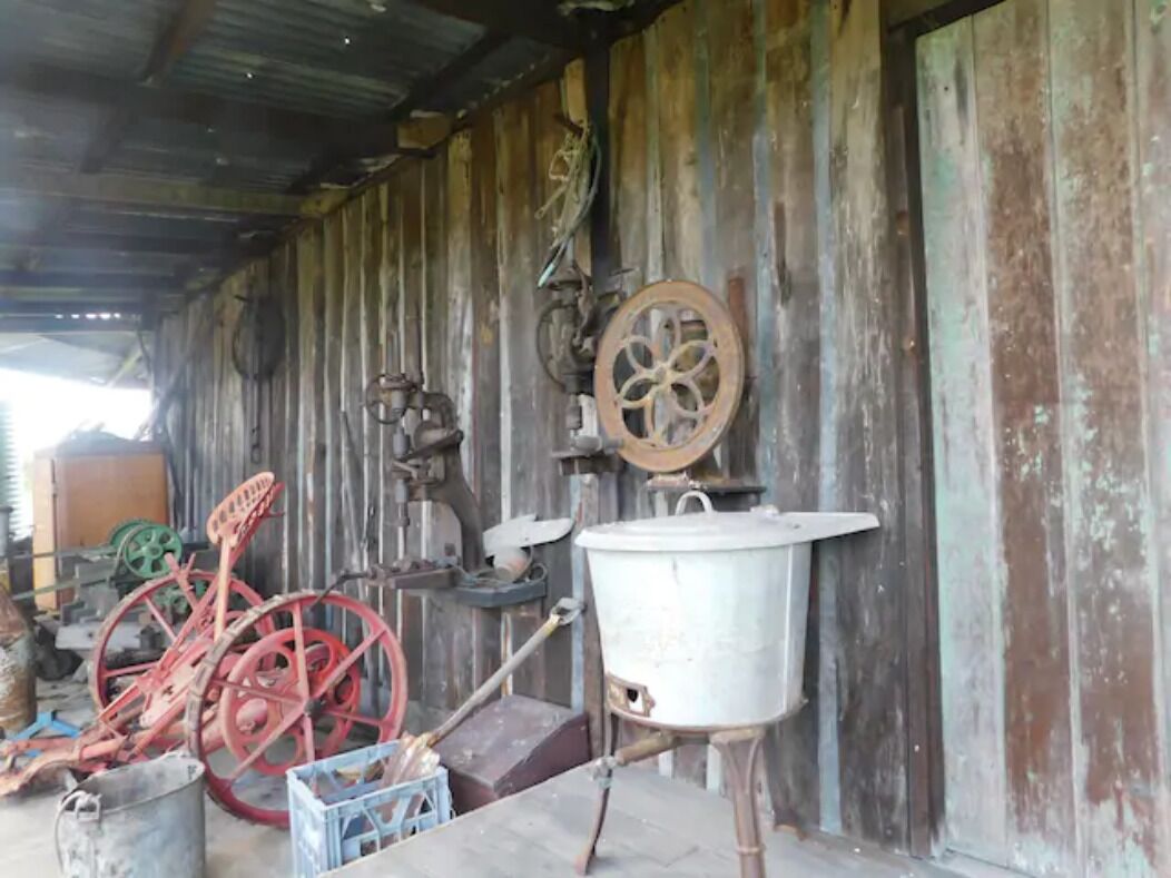 Plumstead Guesthouse – entire house in Lovedale wine country — image 3