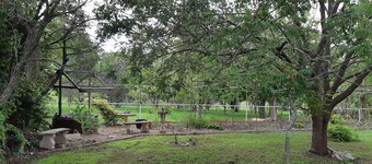 Plumstead Guesthouse – entire house in Lovedale wine country