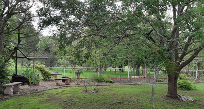 Plumstead Guesthouse – entire house in Lovedale wine country