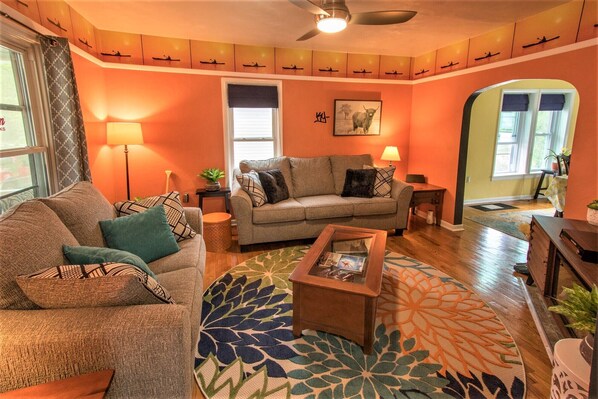 Smart TV, fireplace, DVD player, books