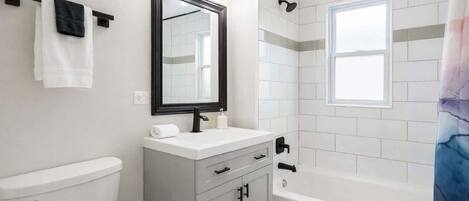 Combined shower/tub, hair dryer